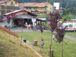 L′area coperta