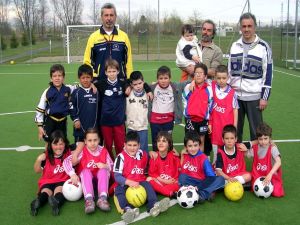 I pulcini